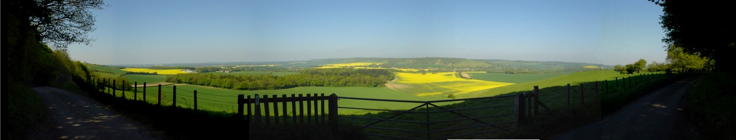 Summer country landscape